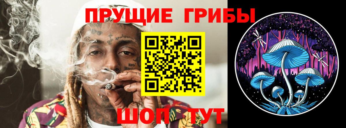 Псилоцибиновые грибы GOLDEN TEACHER Бугульма
