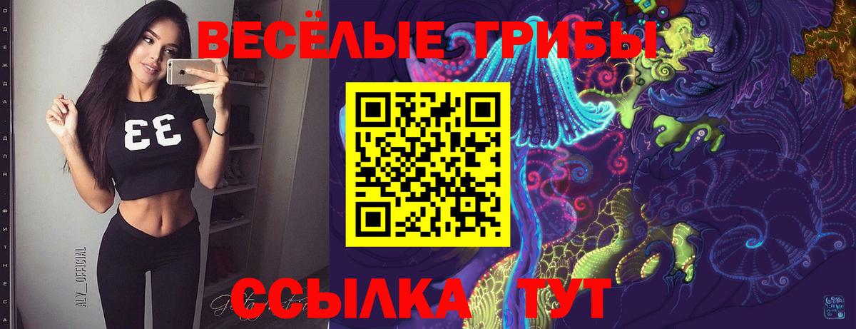 Бугульма  Галлюциногенные грибы Psilocybine cubensis  Вход с VPN 